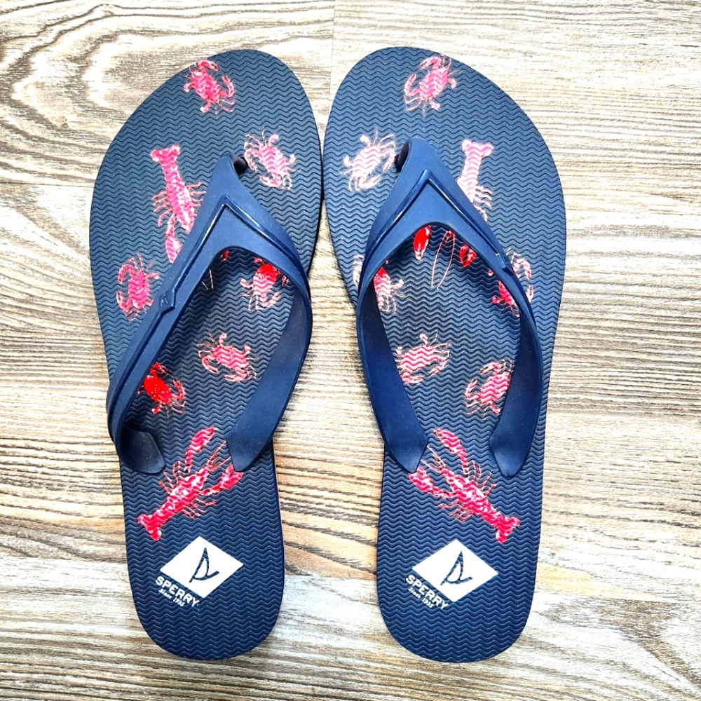 Sperry Wharf Thong Flip Flop Sandals Womens 10 Navy Blue Slip On Nautical Beach